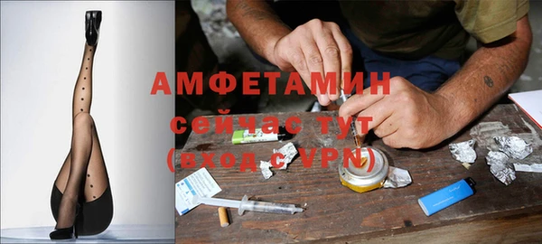 гидра Инта