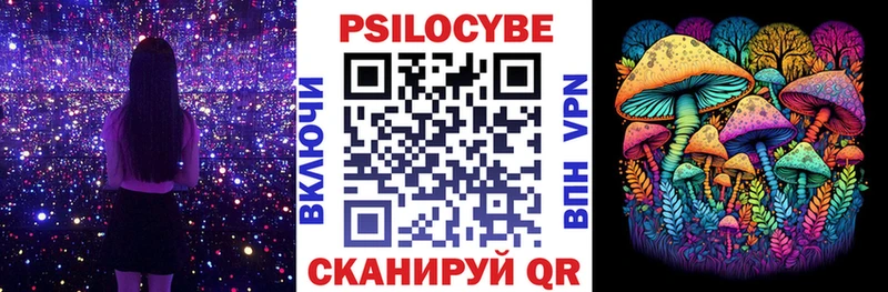 Псилоцибиновые грибы MAGIC MUSHROOMS  Теберда 